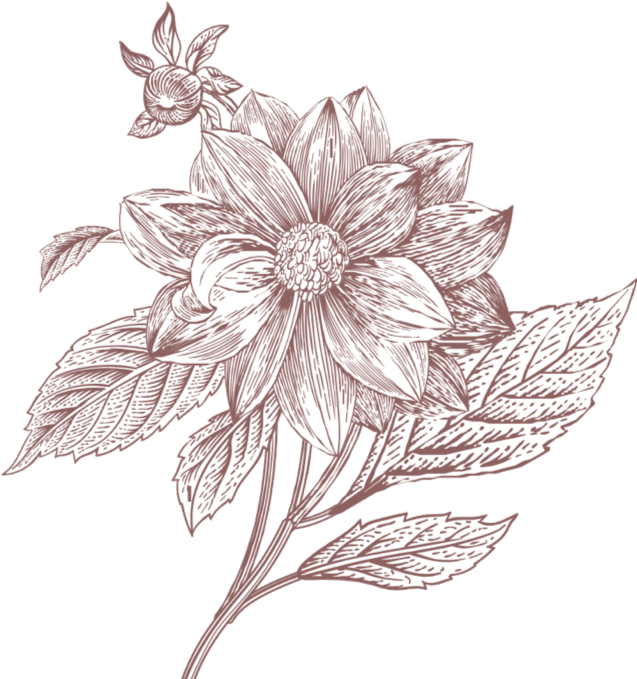 Edible Beauty Image -5efeb51f327a3